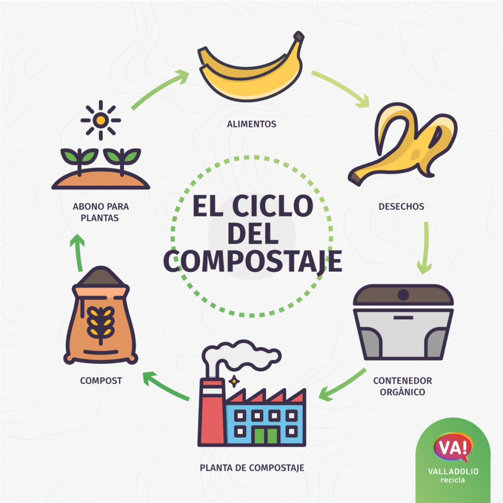 Infografía sobre el ciclo del compostaje