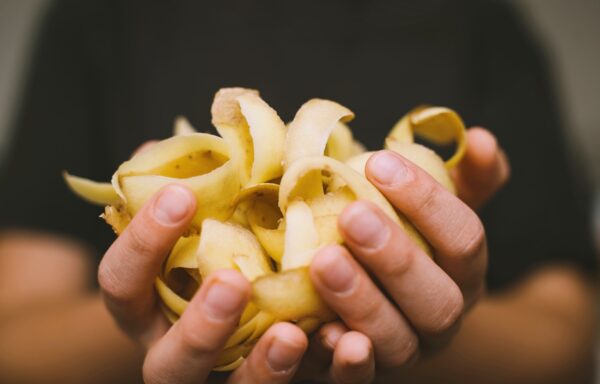 desperdicio alimentario